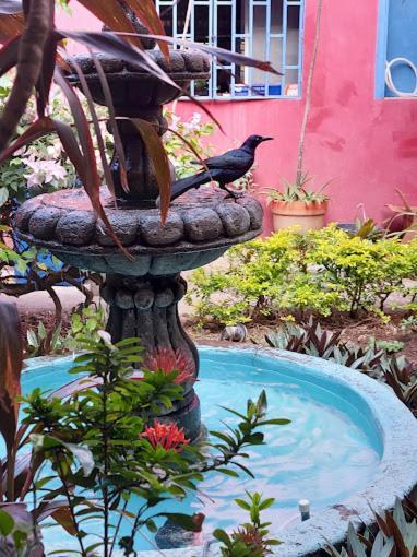 Estrella Beachfront Hotel San Juan del Sur Exteriér fotografie